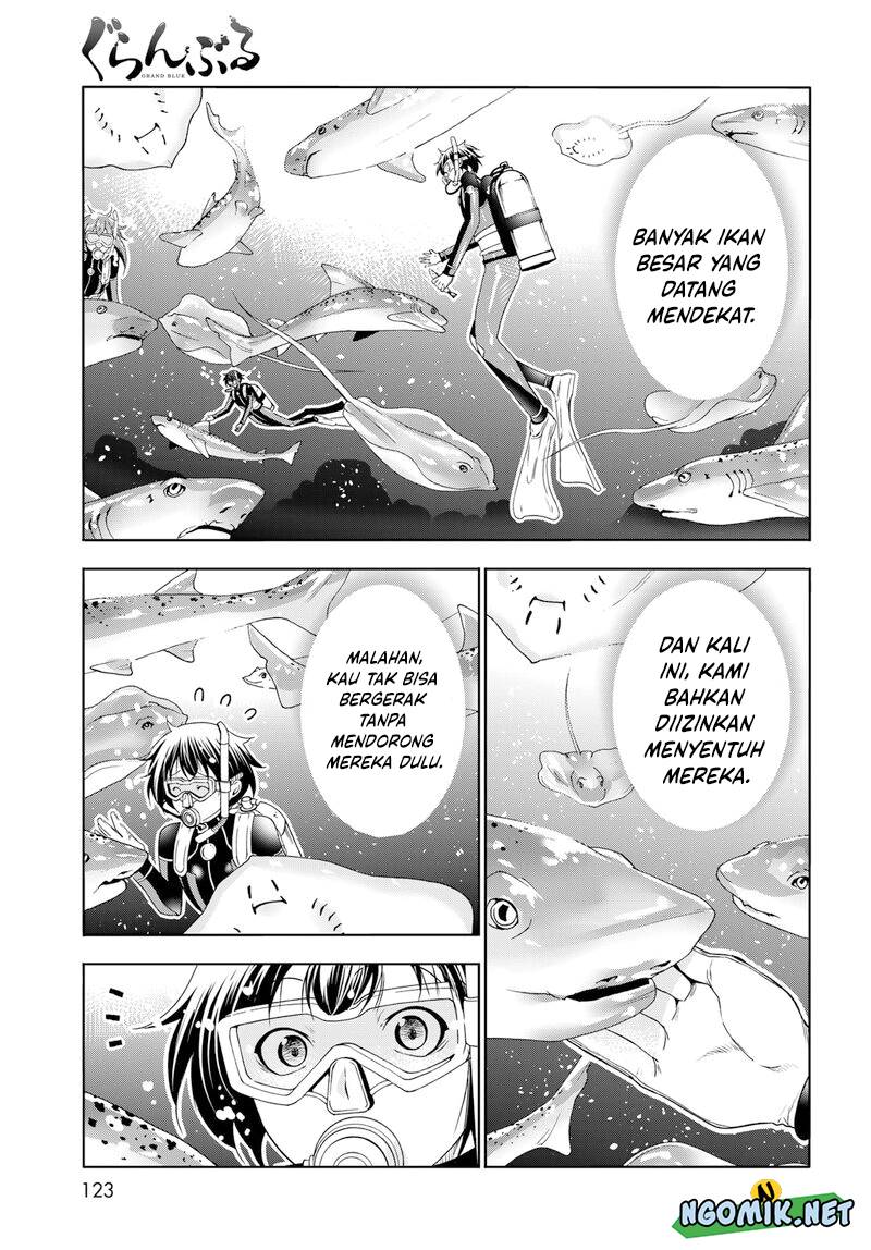 Grand Blue chapter 81 halaman 31