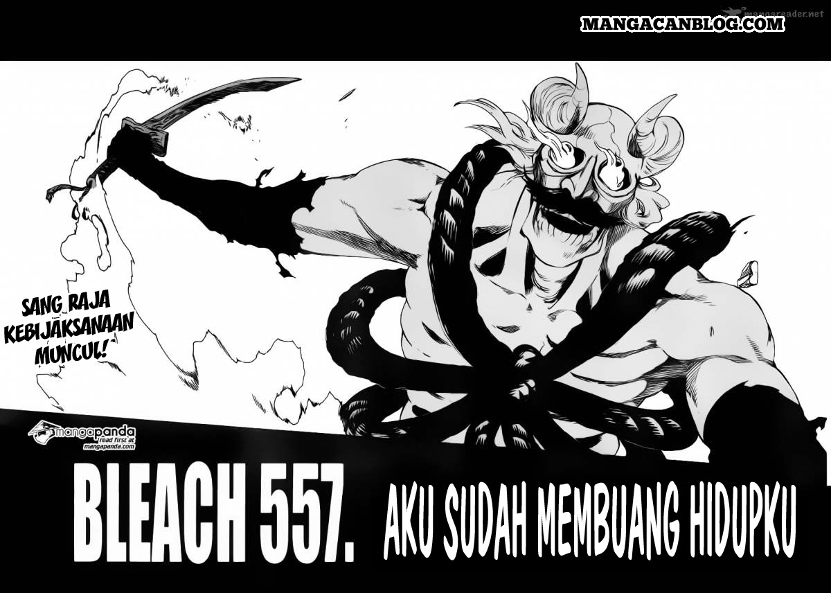 Bleach Chapter 557 - 117