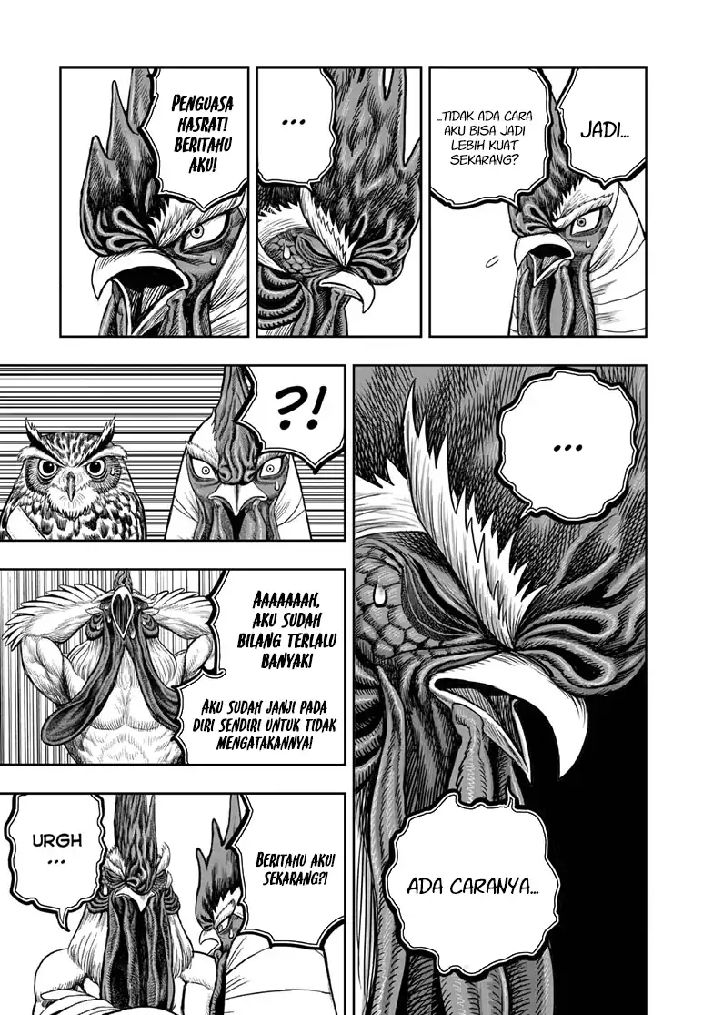 Rooster Fighter chapter 48 halaman 22