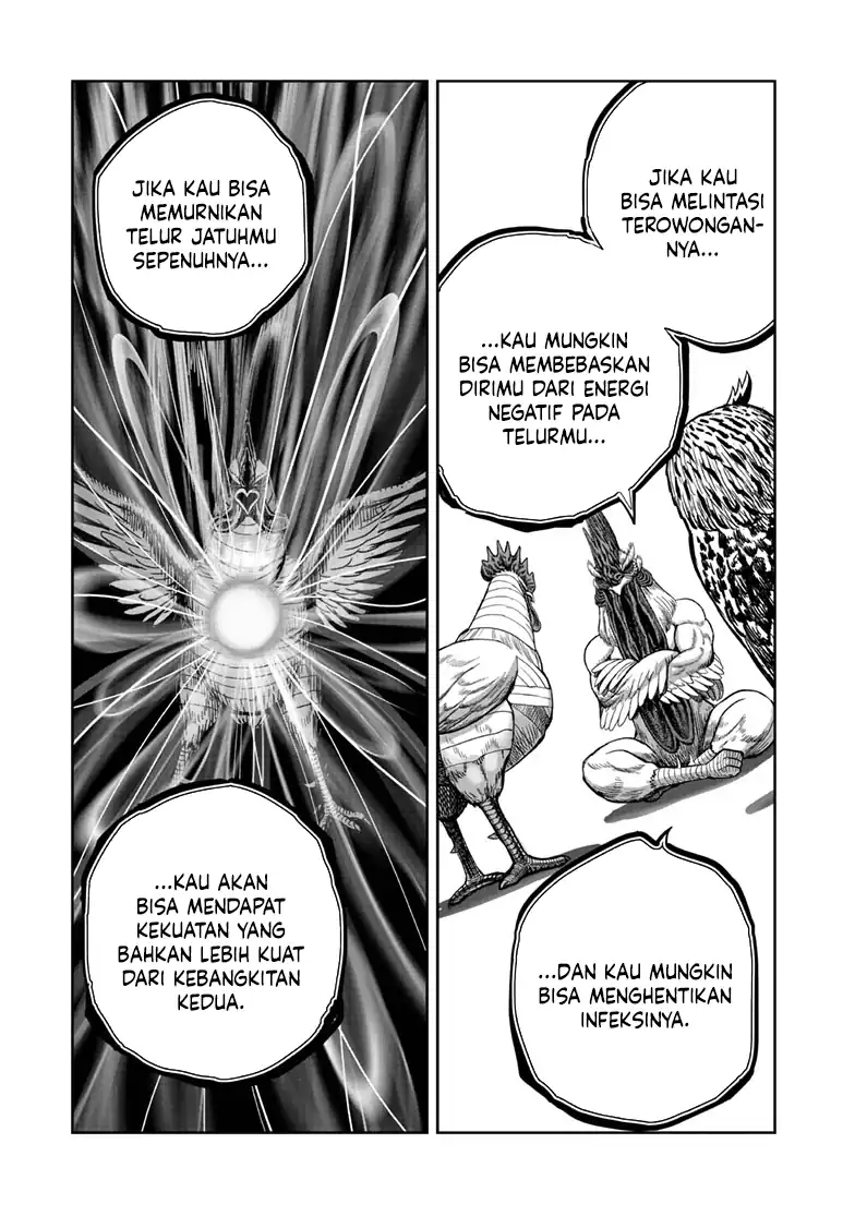Rooster Fighter chapter 48 halaman 24