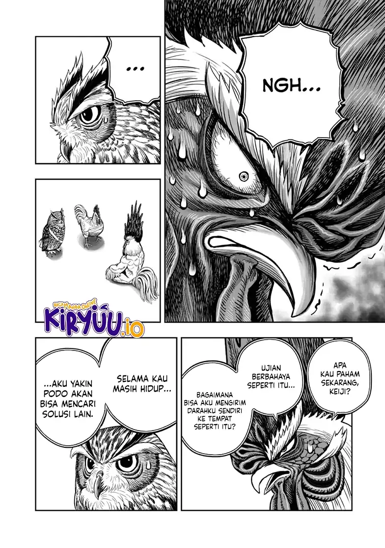 Rooster Fighter chapter 48 halaman 31