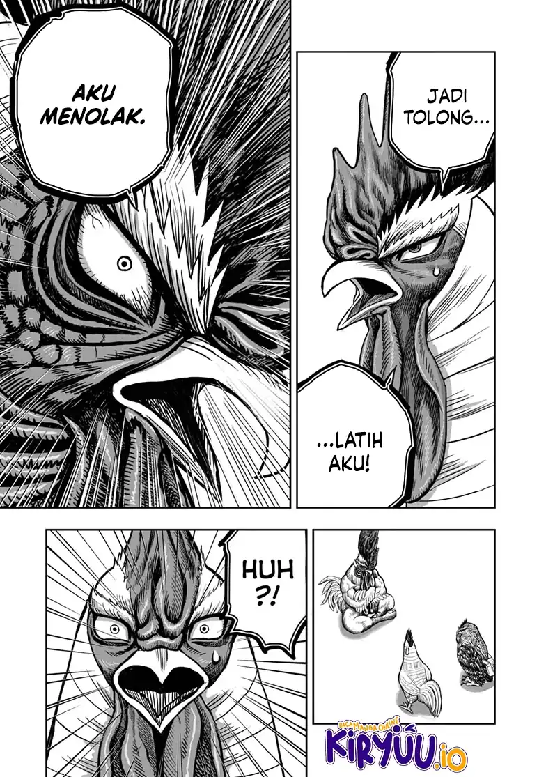 Rooster Fighter chapter 48 halaman 8
